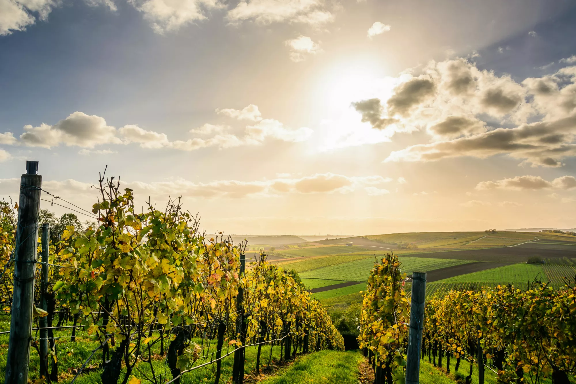 Engagements environnementaux — The Tasting Box