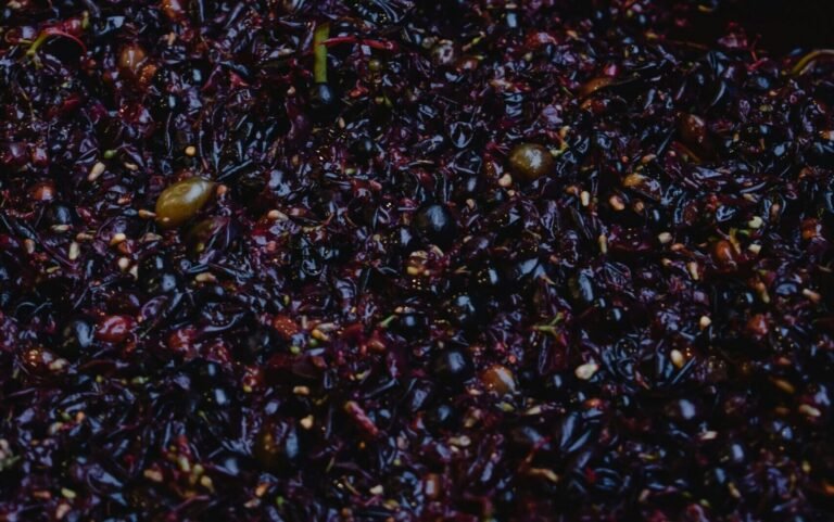 Tanins du vin