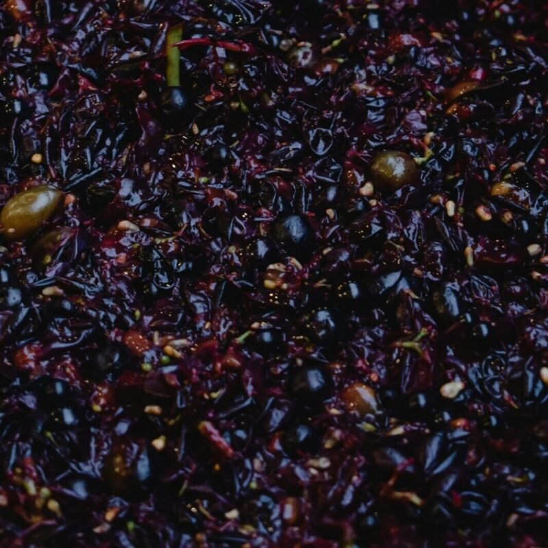 Tanins du vin