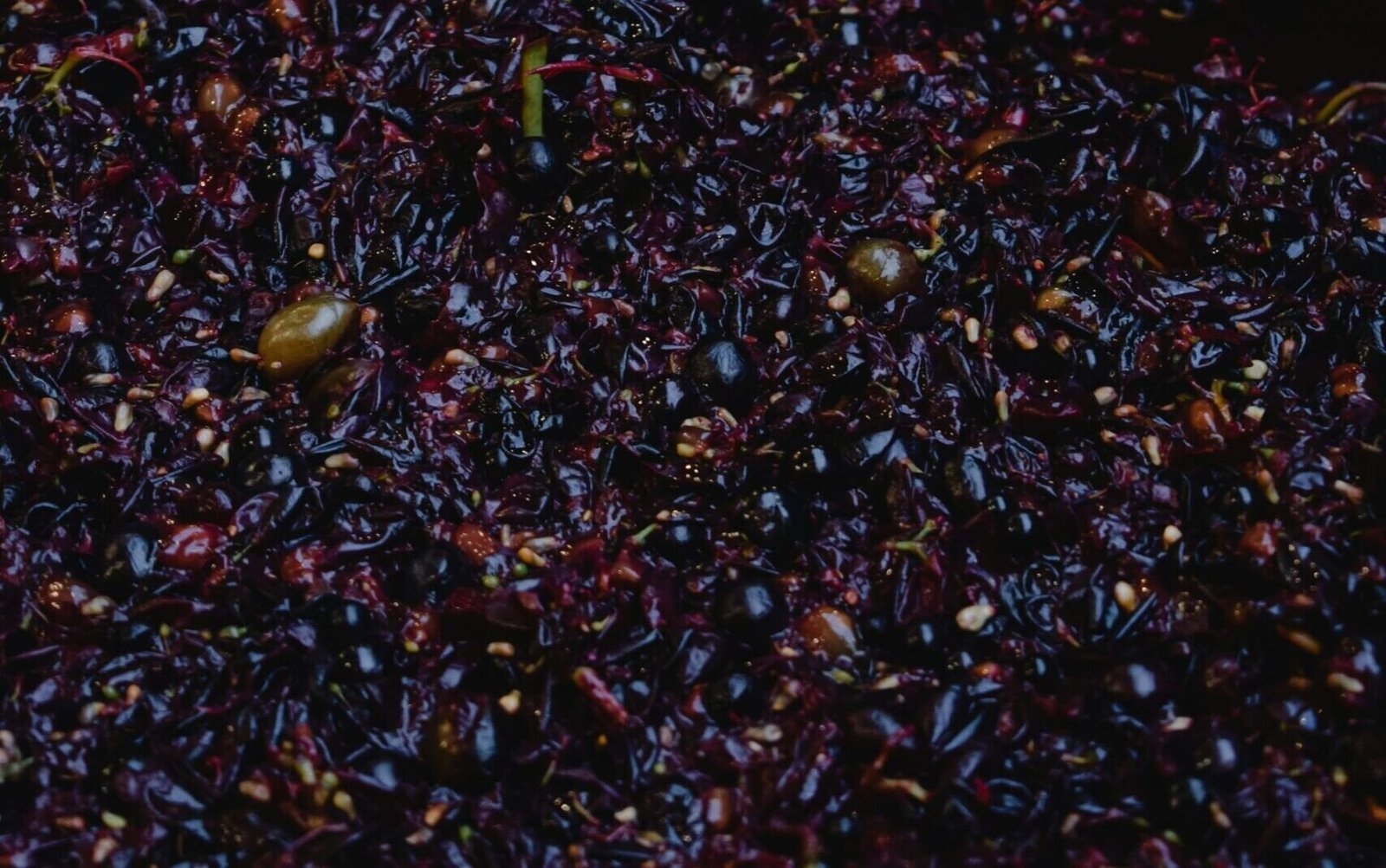 Les tanins du vin : comprendre leur rôle